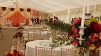 Dynamic Marquees 1093609 Image 2